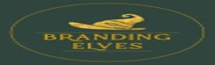 Branding Elves Private Limited Logo