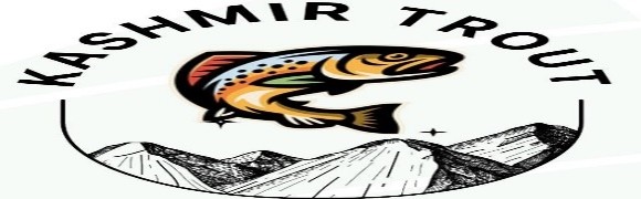 COCOMPUTE LABS LLP Logo